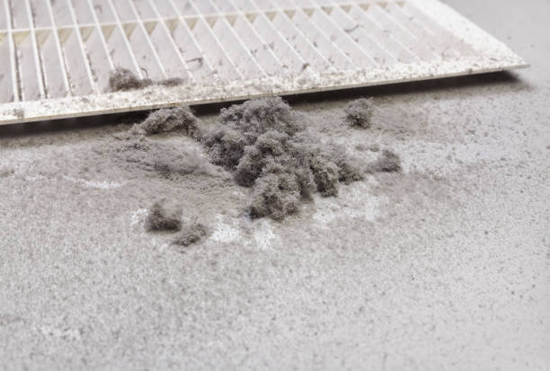 Best Emergency Air Duct Cleaning  in Olathe, KS